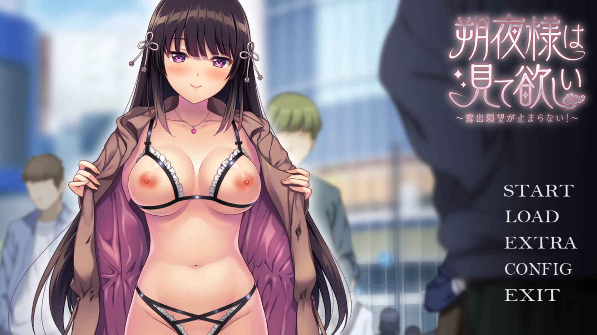 [ADV] [拔作ADV/汉化]朔夜大人，请看看～无法停止的暴露愿望！～AI汉化版+全CG存档[新汉化][1.7G]