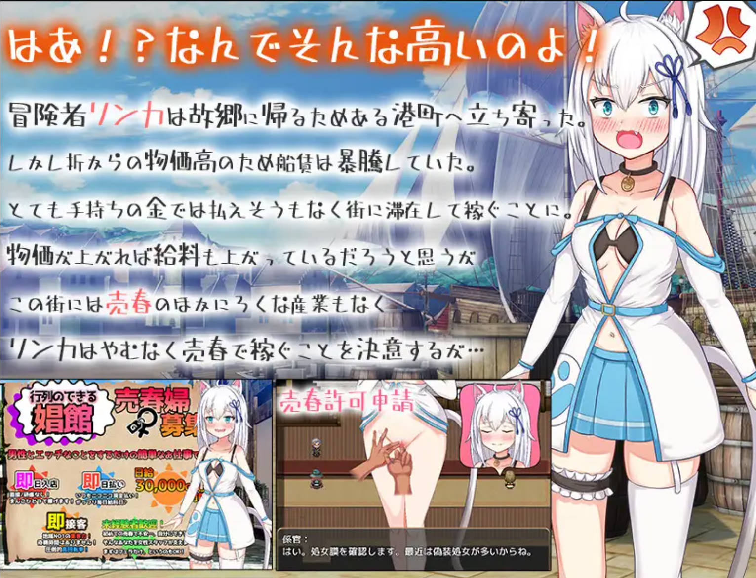 【RPG/汉化】赚钱吧!猫耳娘～异世界卖春SLG～挂载AI汉化版+存档 （稼げ猫耳娘 ～異世界売春SLG～）