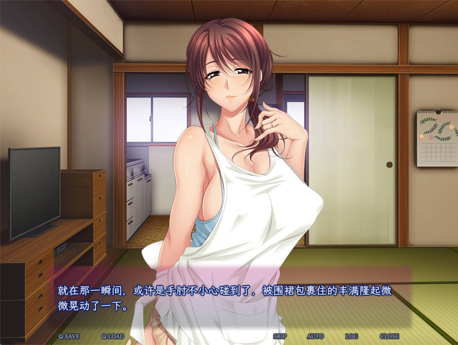[拔作ADV/汉化]母亲的男人 2 ～围绕最爱母亲的雄兽们～AI汉化版+全CG存档[新汉化][550M]