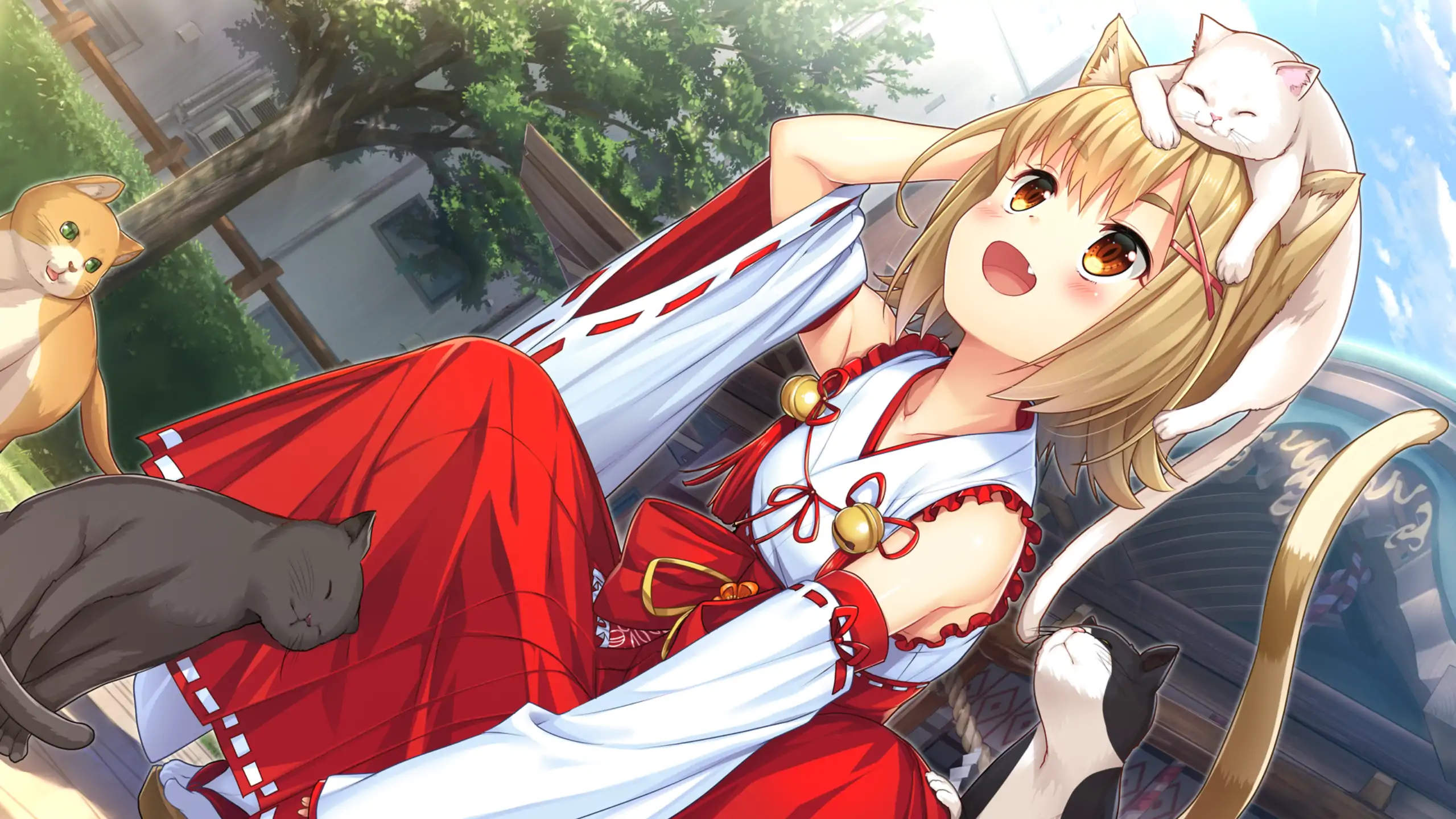 【日系ADV/官方中文/无码】神社里的猫巫女1.03 官方中文【PC/0.72G】 更新日志图 1